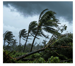 Custom <span class=keywords><strong>Hotel</strong></span> Living Escritório Recipiente De Férias Escola Casa Pré-fabricada Guest Room Pré-fabricada Flatbed Container House - Product Image 6