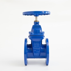 หน้าแปลนประตูแบบแมนนวล ANSI Class 150 หน้าแปลนประตูแบบ Resilient Seat หน้าแปลนประตูแบบ Pn16 Dn80 10 - Product Image 1