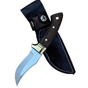 Couteau de chasse et de camping Jexa, lame fixe en acier inoxydable, partie dentelée, manche en bois de noyer, étui en cuir - Product Image 1