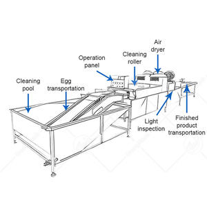 Máquina eléctrica de lavado de huevos ORME, línea automática de limpieza de huevos, máquina de limpieza y secado de huevos de pollo - Product Image 2