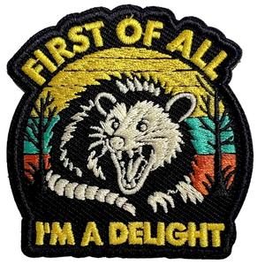 Patchs brodés Lions Golds Gym Football Club personnalisés pour vêtements de sport et équipement de fans - Product Image 6