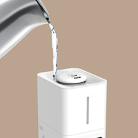 Commerciële fruit- en groente ultrasone luchtbevochtiger, grote mist, 6L capaciteit, staande en bureau-model.