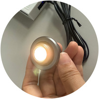Mini 1W DC12V LED Spot Light Encastré Cabinet Downlight D29mm Réglable 30 ° Bijoux Vitrine Projecteur CRI80 Noir/Gris