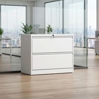 Archivador de Acero de 2 Cajones Antivuelco para Oficina, Moderno, Ancho, Horizontal, para Archivos Colgantes