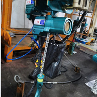 0.5/1 T 2T 3T 6T 10t 16T 20T Palan pneumatique antidéflagrant Palan pneumatique à air Chine Fabricant