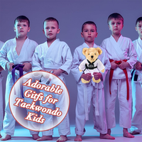 Houwsbaby Ours en peluche Taekwondo, ours en peluche Karaté, ours en peluche Arts martiaux, cadeaux adorables pour les enfants de Taekwondo