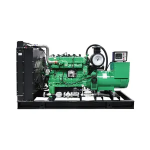 Stille 15 Kva Diesel Generator 3 Fase 12 Kw 15kva 12kva Product Type Generatoren