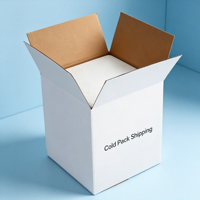 Boîte d'expédition isotherme personnalisée en carton ondulé pour la chaîne du froid, emballage pour aliments et produits pharmaceutiques, livraison à température contrôlée