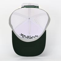 Casquettes de baseball de haute qualité, nouvelle arrivée, sur mesure, couleur unie, style sportif