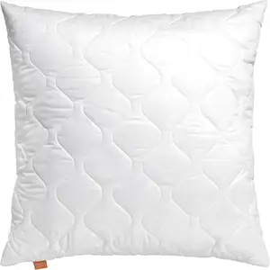 Cheap Wholesale Polyester Down Filled White Plain Throw Pillows Square Cushion