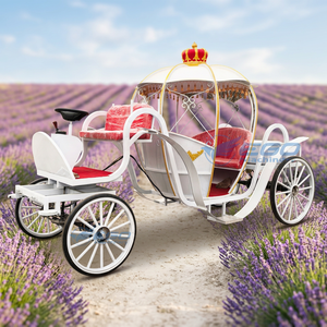 Chariot de Cendrillon Citrouille, Poupée Princesse avec Chariot, Jouet Chariot de Princesse Électrique Sans Chevaux à Vendre - Product Image 1