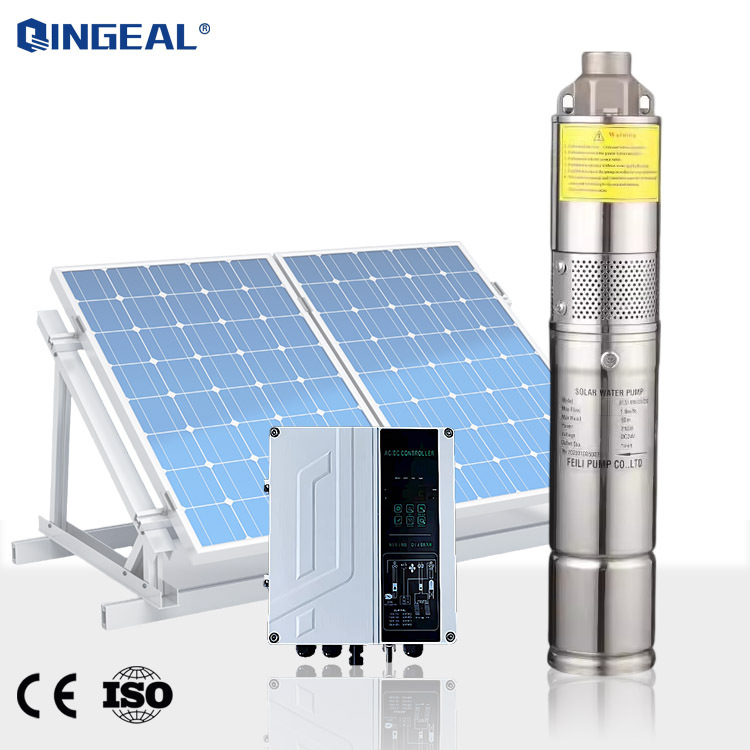 High Efficiency Stainless Steel 1hp 48V Dc Feili Fls Helical Screw Solar Pump Machine for Farming · image 4