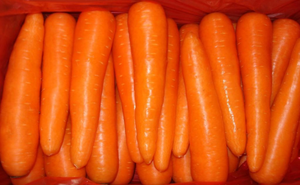 Rau củ đông lạnh bán buôn IQF, cà rốt đông lạnh - Product Image 2