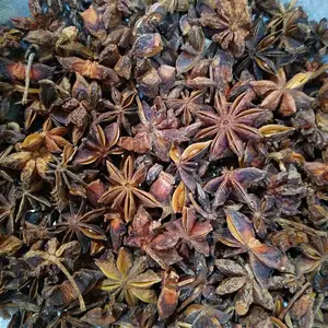 Dried brown star anise seeds best kitchen seasoning star anise seeds great smells star shaped anise seeds