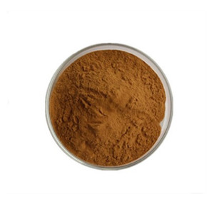 Botol bahan aktif Vitamin ekstrak lidah buaya alami kelas atas 100% bubuk akar opogonis organik murni kelas atas - Product Image 1