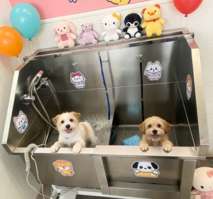 Edelstahl Hunde-Pflegewanne mit Rampe und Treppe für Große Hunde - Product Image 4