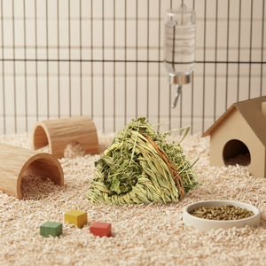 <span class=keywords><strong>Casa</strong></span> para Mascotas con Césped para Animales Pequeños - Product Image 6