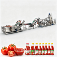 Ligne de production de jus de tomate. Usine complète de transformation de tomates, machine de remplissage de purée et de jus de tomates