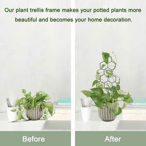 โครงตาข่ายรังผึ้ง15.94นิ้วโครงตาข่ายโลหะน้ำหนักเบาทนทานขนาดเล็กสำหรับพืชในกระถางในบ้านปีนเขาเถาไม้เลื้อย - Product Image 4