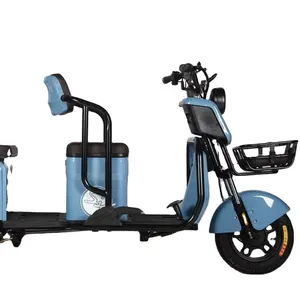 Hot Sale Tricycles Bajaj Electric 3 Wheel Passenger Tricycle Auto E Rickshaw Tuk Tuk Differiential Motor Taxi