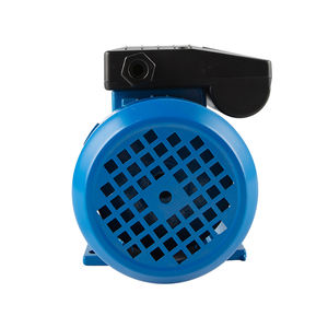 Pompa d'Acqua Elettrica Compatta Serie IDB, 0.5hp 1hp, per Uso Domestico e Giardino, Autoadescante, Prezzo Conveniente - Product Image 6