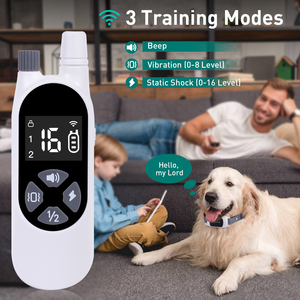 Typ-C USB-Aufladung Wasserdichtes Haustier-Antibell-Stopper und Trainingshalsband Verstellbares Nylon Anpassbares Halsband 300M Drahtlose Fernbedienung - Product Image 3