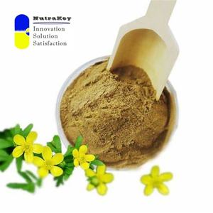 Polvo de extracto de garra de gato Premium 2.0% alcaloides | Soporte natural antiinflamatorio e inmunológico | Extracto de <span class=keywords><strong>Uncaria</strong></span> <span class=keywords><strong>Tomentosa</strong></span> - Product Image 3