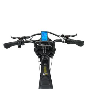 Ruihe V8 <b>Electric</b> Bike with 20 Inch Fat Tire 250W/500W/1000W Power Supply Options 48V 15ah Lithium Battery Electronic Smart Type - Product Image 6