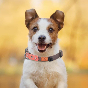Gran oferta de correas y collares de perro de cuero Pu con logotipo personalizado, conjunto de <span class=keywords><strong>collar</strong></span> y correa para perros pequeños de Pvc suave para mascotas - Product Image 5
