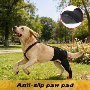Protège-jambe arrière pour <span class=keywords><strong>chien</strong></span> personnalisable, résistant à l'usure et antidérapant, <span class=keywords><strong>chaussette</strong></span> de <span class=keywords><strong>protection</strong></span> pour patte droite d'animal domestique pour la <span class=keywords><strong>protection</strong></span> des sols intérieurs et le contrôle de la traction - Product Image 3