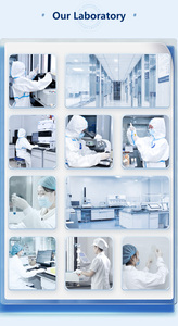 Eco-friendly monouso per signore assorbente assorbente assorbente assorbente alato basso MOQ fabbrica all'ingrosso <span class=keywords><strong>assorbenti</strong></span> sanitari - Product Image 5
