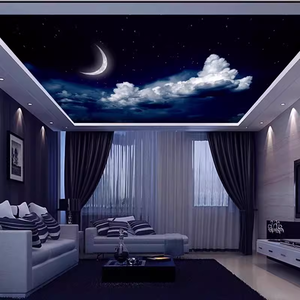 Papier peint mural en tissu sans couture au design industriel personnalisé ciel étoilé pour la décoration <span class=keywords><strong>de</strong></span> bars, <span class=keywords><strong>de</strong></span> cinémas et <span class=keywords><strong>de</strong></span> maisons - Product Image 4