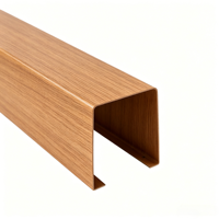 Source de Confiance – Baffle en Aluminium Moderne en U 30x80mm, Léger, Durable, Insonorisant Linéaire, Résistant au Feu