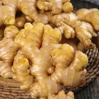 Herstellerangebot: Maßgeschneiderte Kräuterteebeutel - Ananas-Lein-Schweigen-Ingwer, Natürliche Schlankheitsmischung, Geringe Mindestbestellmenge & OEM