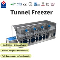 Industriële diepvriesmachine tunnelvriezer, modulair ontwerp, fabrieks prijs