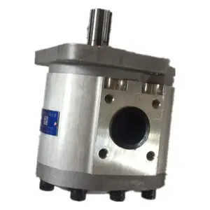 Middle High Pressure Forklift Gear Pump CB Series CBN CBN-F306-CFLH Hydraulic Gear Pump