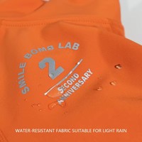 Manteau pour chiens de haute qualité, luxueux, rembourré, écologique, réfléchissant, imperméable, coupe-vent, en polyester, pour toutes les saisons