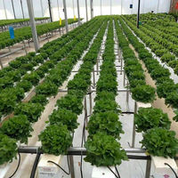 Système de culture hydroponique vertical d'intérieur multifonctionnel efficace Équipement de croissance des plantes avec pompe pour les industries agricoles