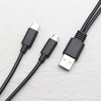 Kabel 2 In 1 Dual Usb Splitter Cord 2.0 A Male Ke Dual Micro Usb Male Cable + TYPE-C Male 0.25M 0.3M