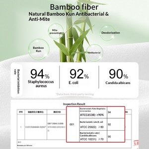 T-shirt Kuenzi Unisex in Fibra di Bambù 60S Antibatterica Rinfrescante Traspirante Assorbente Casual Taglie Forti 4XL OEM RTS - Product Image 3