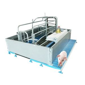 Nuevos Corrales de Parto para Cerdas HENGYIN con Acero Galvanizado en Caliente, Certificación CE, Vida Útil de 15 a 25 Años para Granjas Porcinas Modernas - Product Image 5