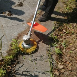 <span class=keywords><strong>Decespugliatore</strong></span> <span class=keywords><strong>Professionale</strong></span> a Batteria DC 24V/36V/48V/60V - Product Image 2