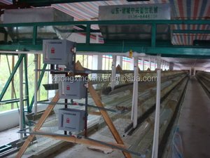 Cage <span class=keywords><strong>de</strong></span> <span class=keywords><strong>canard</strong></span> éleveur automatique <span class=keywords><strong>de</strong></span> ferme cage <span class=keywords><strong>de</strong></span> <span class=keywords><strong>canard</strong></span> à oeufs pour <span class=keywords><strong>canard</strong></span> pondeuse - Product Image 6