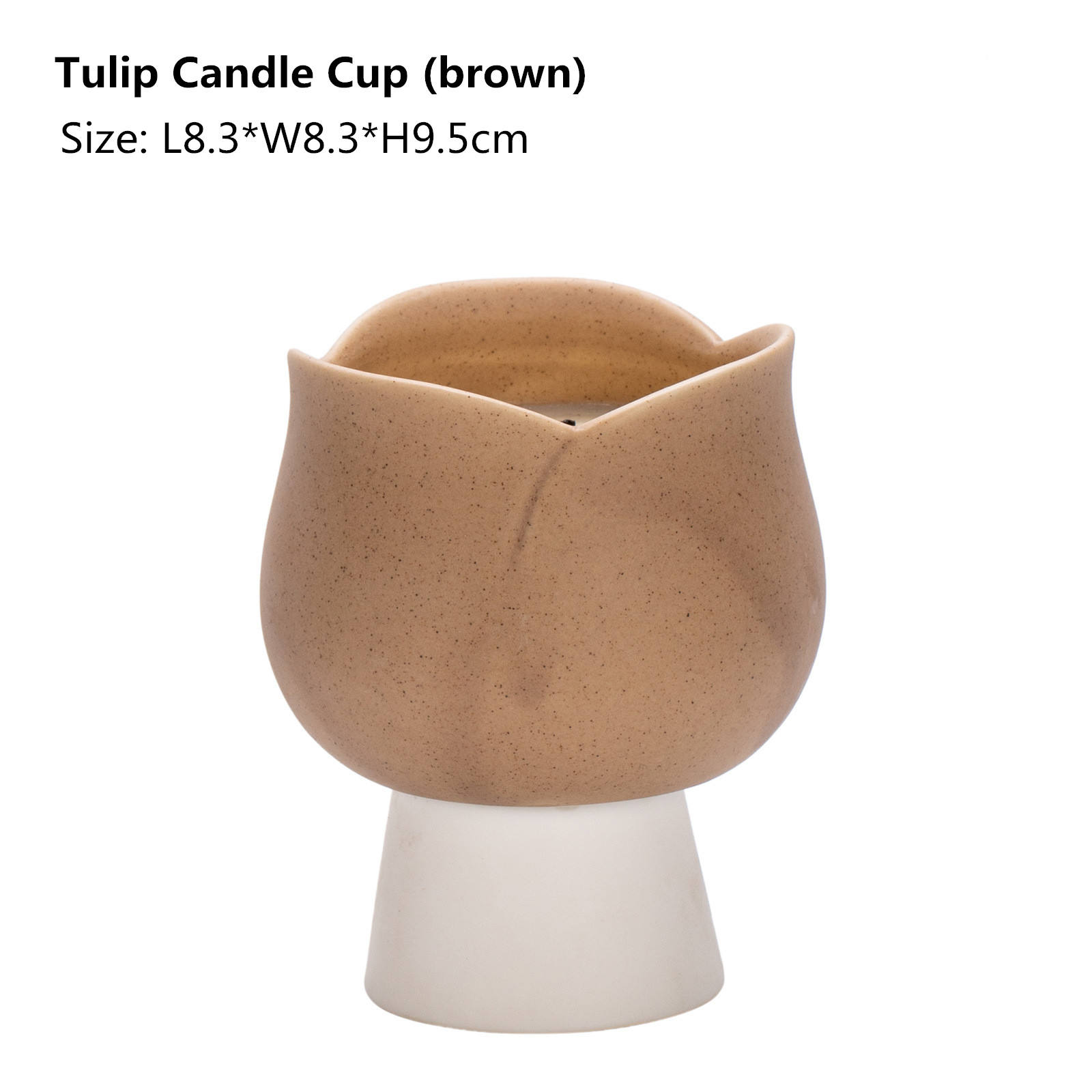 Tulip -brown