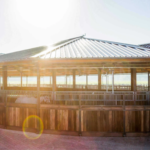 Feuer verzinkter Sicherheits pferd Walker 4-10 Horse Position Horse Walker Ausrüstung für Trainings übungen - Product Image 6