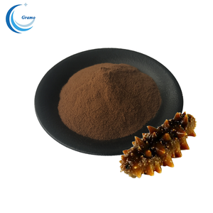 Cung cấp dưa chuột biển chiết xuất bột 10:1 - Product Image 1