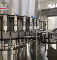Chaîne de production complète de machines de remplissage entièrement automatiques pour bouteilles PET d'eau minérale pure