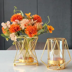 Vaso de vidro nórdico para decoração de mesa de jantar, mesa de jantar e sala de estar, ornamentos hidropônicos