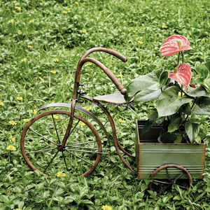Pot de jardin en métal galvanisé avec support, jardinière pour vélo, voiture - Product Image 3