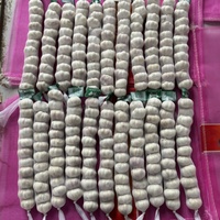 2025 Chine nouvelle culture d'ail biologique à vendre en gros d'ail frais à bas prix Shandong fournisseur d'ail